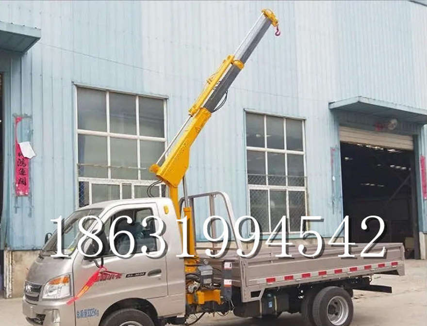 鞍山市车载吊机移动起重机车载吊机220v移动吊机车载小吊机220V车载小型